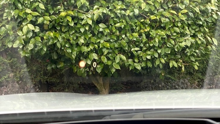 BMW S&eacute;rie 6 - 640 D Xdrive PACK M